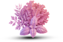 Овощи